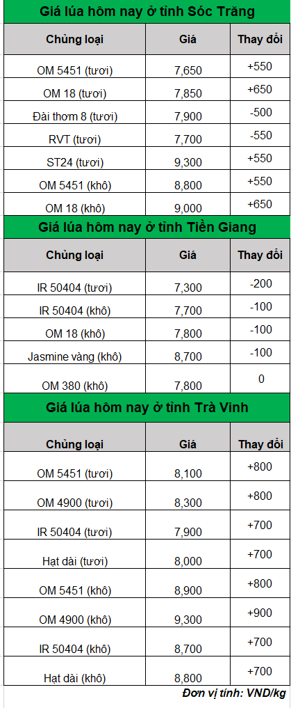 bang gia lua gao hom nay 21.8.2024_1724209538.png